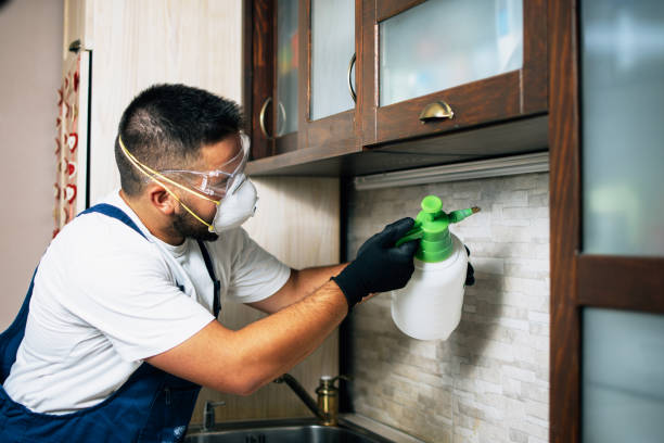 Best Commercial Pest Control Services  in West Brattleboro, VT