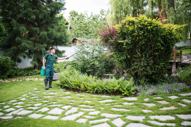 Pest Control Cost in West Brattleboro, VT