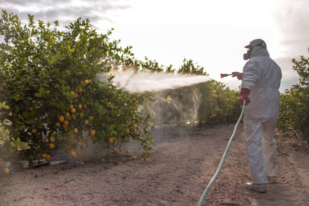 Pest Control for Restaurants in West Brattleboro, VT